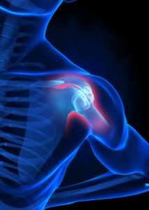 Rotator Cuff Activity During Shoulder Adduction Exercises